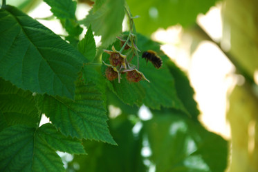 Similar image 21550600