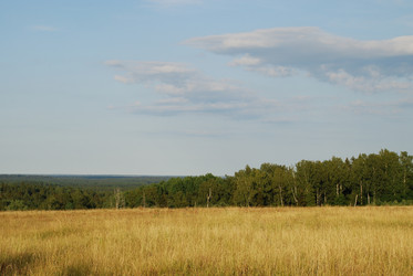 Similar image 21550601