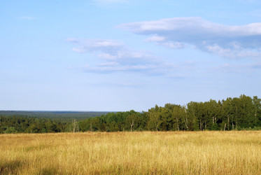 Similar image 21550603