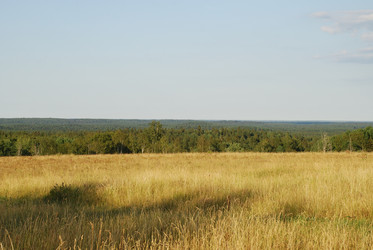 Similar image 21550605