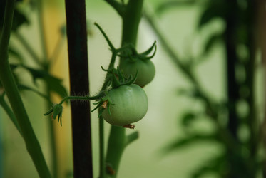 Similar image 21550608