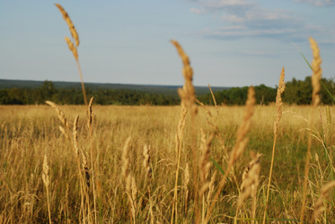 Similar image 21550609