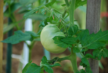 Similar image 21550610