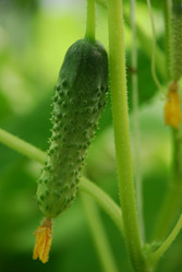 Similar image 21550612