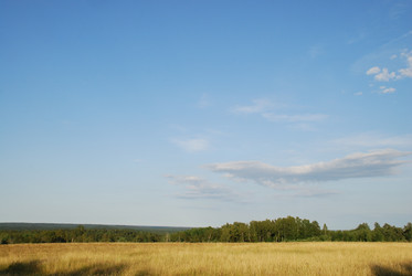 Similar image 21550613