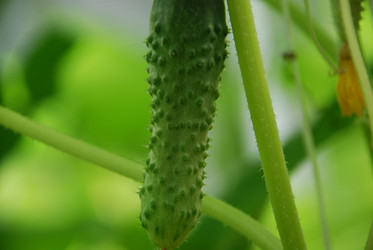 Similar image 21550614