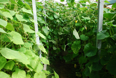 Similar image 21550616