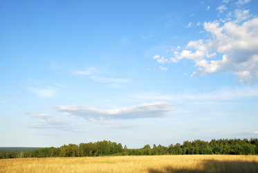 Similar image 21550617