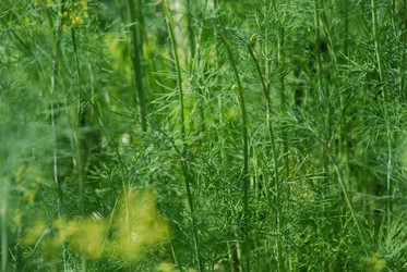 Similar image 21550618