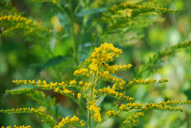 Similar image 21550620