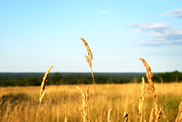 Similar image 21550621