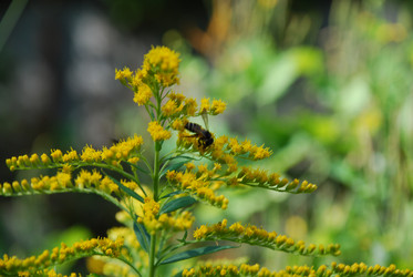 Similar image 21550622