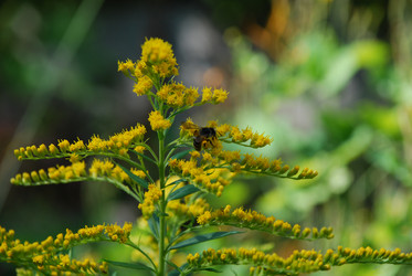 Similar image 21550624