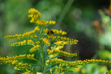 Similar image 21550626