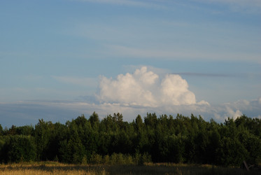 Similar image 21550629