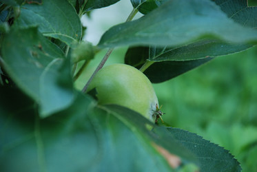 Similar image 21550630