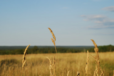 Similar image 21550633