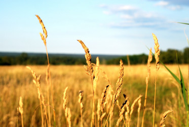 Similar image 21550635