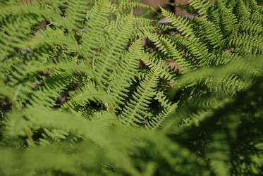 Similar image 21550636