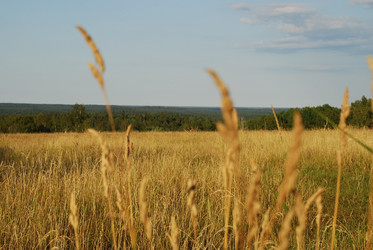 Similar image 21550637