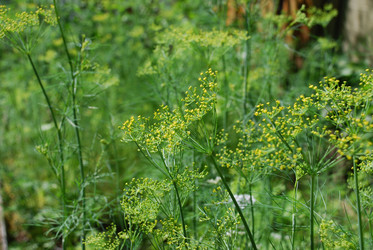 Similar image 21550640