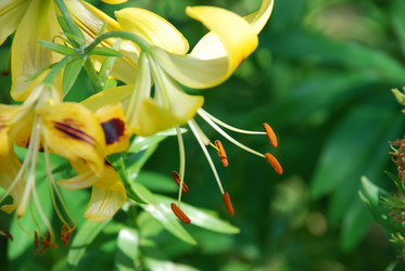 Similar image 21550643