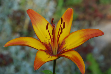 Similar image 21550644