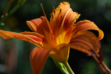 Similar image 21550645