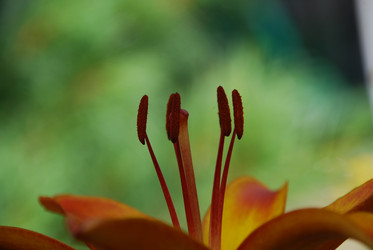 Similar image 21550646