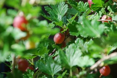 Similar image 21550647