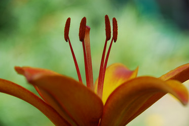 Similar image 21550650