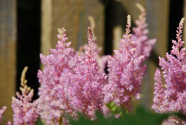 Similar image 21550236