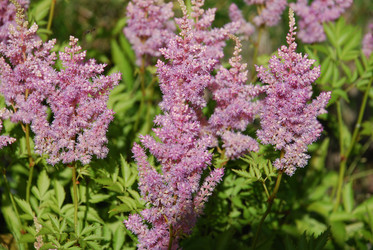 Similar image 21550240