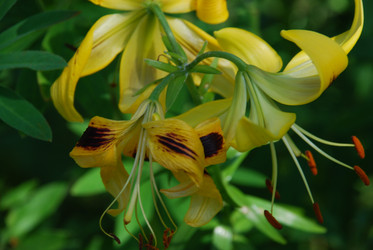 Similar image 21550242