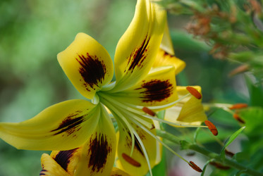 Similar image 21550244