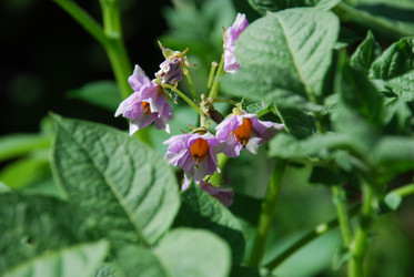 Similar image 21550246