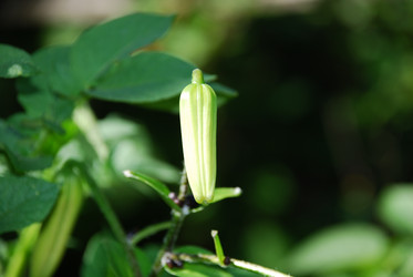 Similar image 21550247