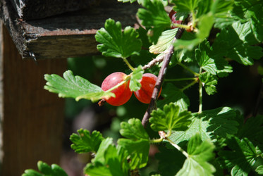 Similar image 21550252