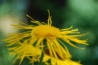 Similar image 21550256