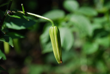 Similar image 21550259