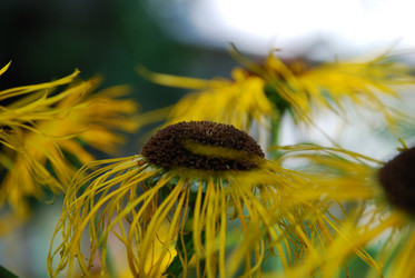 Similar image 21550263