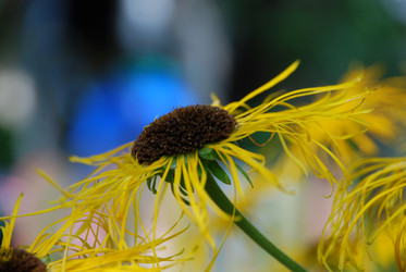 Similar image 21550265