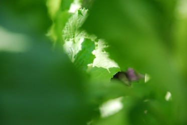 Similar image 21550268