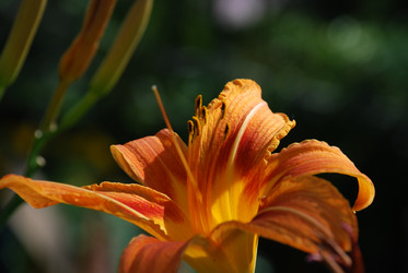 Similar image 21550269