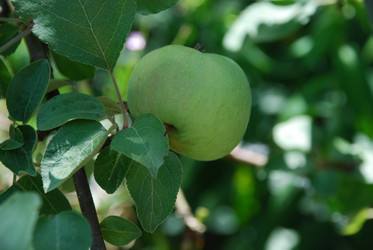 Similar image 21550271