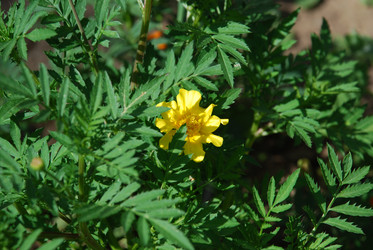 Similar image 21550273