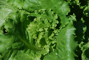 Similar image 21550275