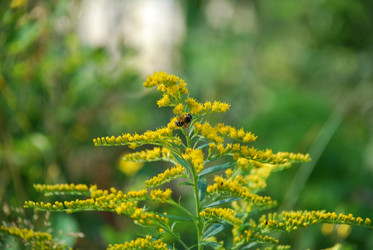 Similar image 21550276