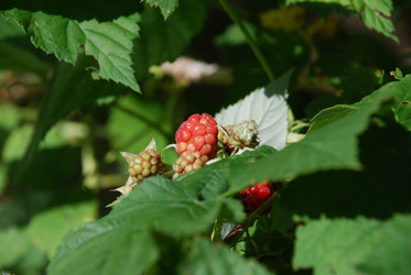 Similar image 21550278