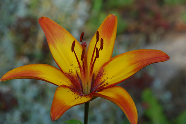 Similar image 21550279